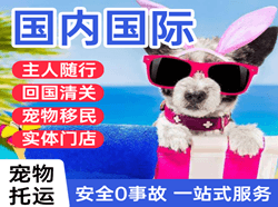 遵义茅台空运代理国际宠物托运 【国